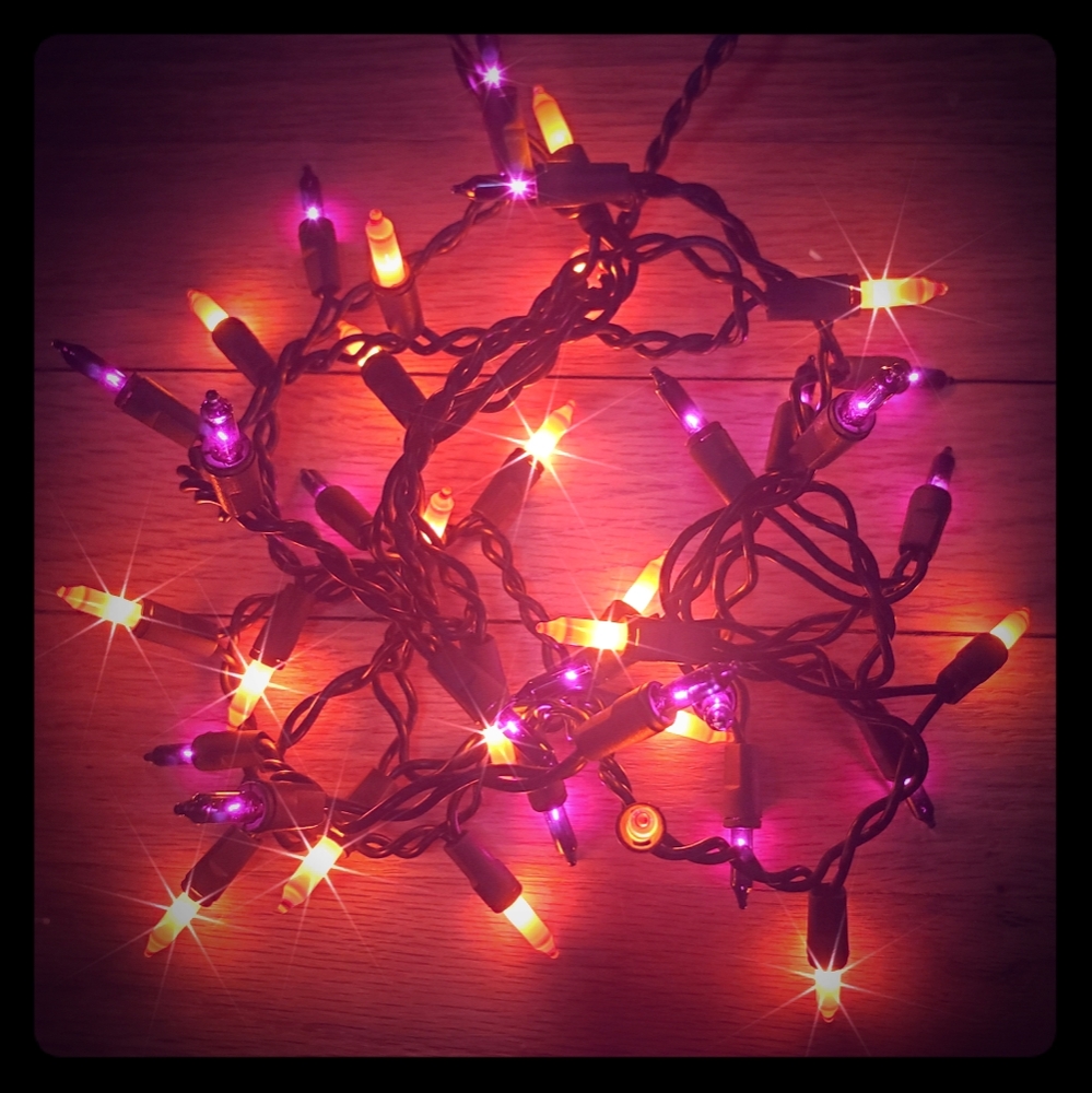 A pair of 20 light bulbs strings